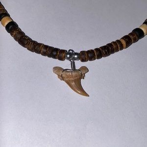 Shark Tooth Necklace
